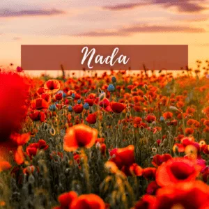 Nada – Acesse sua Presença Divina