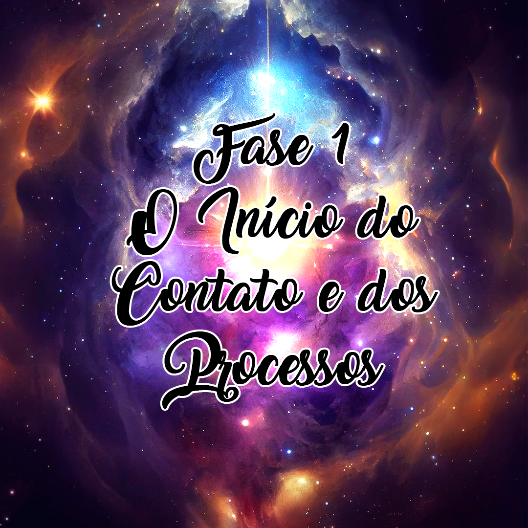 Fase 1 – O Início do Contato e dos Processos