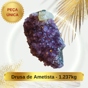 Drusa Amentista - 1.237 kg